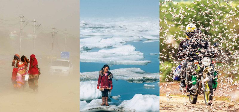 新型生物刺激素集成技術(shù) -- 積極應(yīng)對非生物脅迫對農(nóng)業(yè)生產(chǎn)影響，助力糧食產(chǎn)量和農(nóng)產(chǎn)品品質(zhì)雙提升