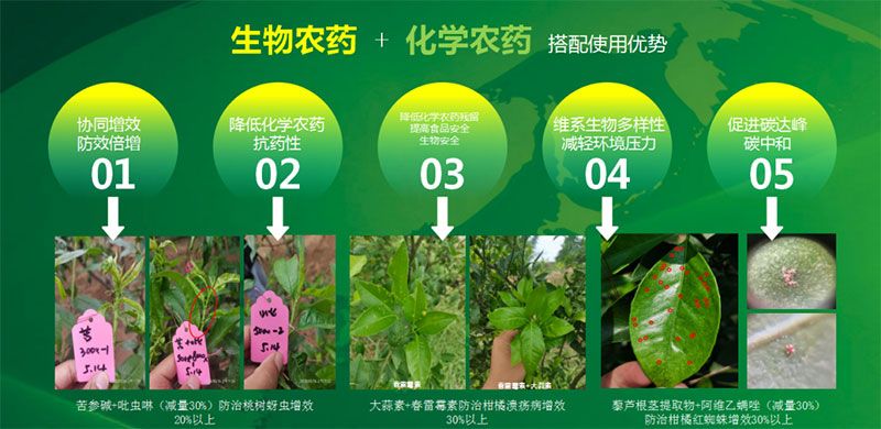 新朝陽(yáng)在第六屆中國(guó)農(nóng)藥行業(yè)市場(chǎng)和銷(xiāo)售高峰論壇做“生物農(nóng)藥+化學(xué)農(nóng)藥，引領(lǐng)植保市場(chǎng)未來(lái)”主題報(bào)告