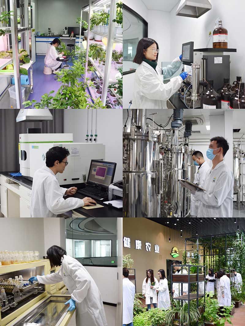 “全國(guó)科技工作者日”：推動(dòng)農(nóng)業(yè)綠色高質(zhì)量發(fā)展，新朝陽(yáng)科研人在路上