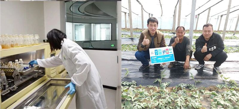 打造新朝陽生物科技“五張名片”，服務(wù)農(nóng)業(yè)高質(zhì)量發(fā)展！